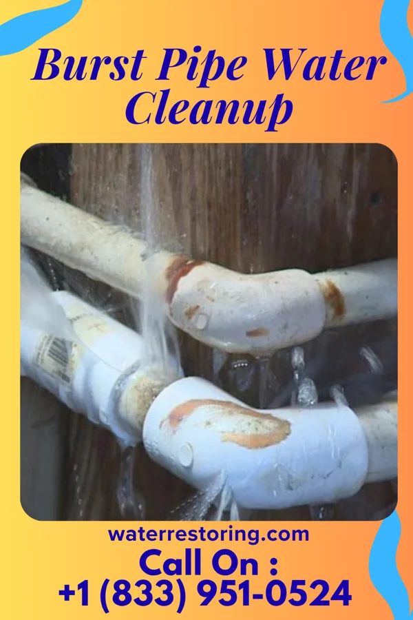 Burst Pipe Water Cleanup in Mount Juliet, TN