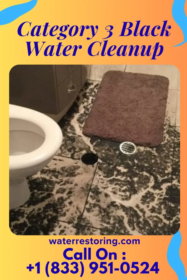 Category 3 Black Water Cleanup in Mount Juliet, TN