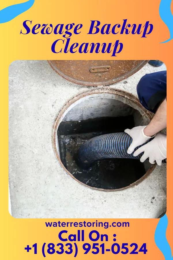 Sewage Backup Cleanup in Mount Juliet, TN